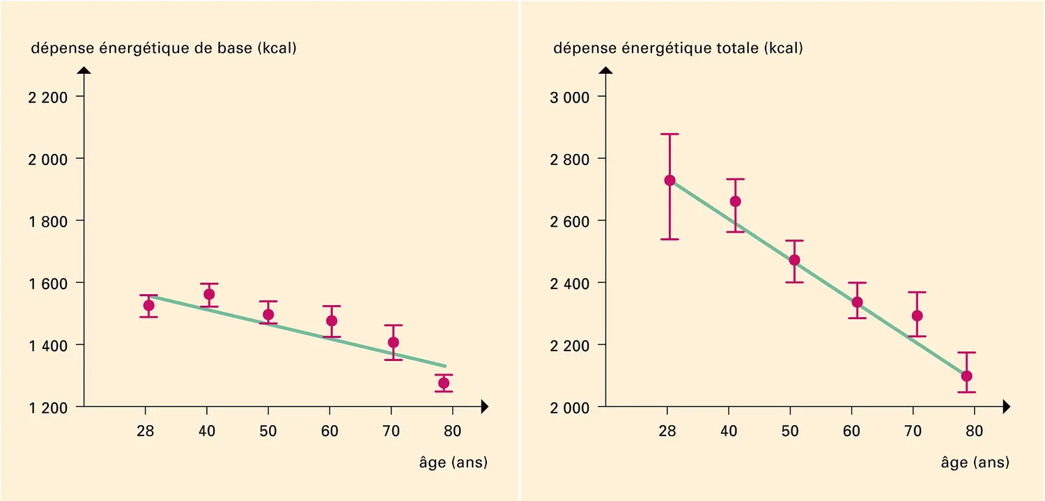 Dépense énergétique et vieillissement