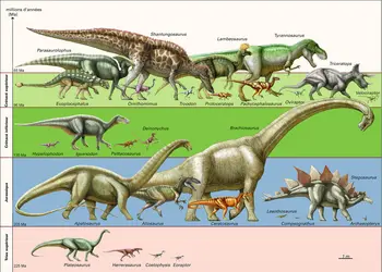 Dinosaures : quelques exemples - crédits : Encyclopædia Universalis France