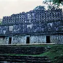 Yaxchilan : vue extérieure du temple de l'Oiseau - crédits : Index/  Bridgeman Images 