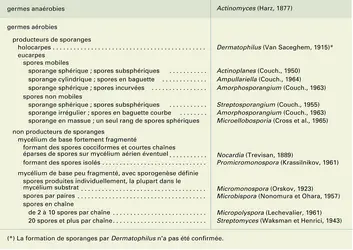 Classification de Hütter - crédits : Encyclopædia Universalis France