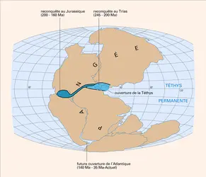 Paléo-océan téthysien - crédits : Encyclopædia Universalis France