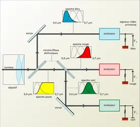 Analyse trichrome - crédits : Encyclopædia Universalis France