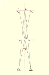 Vision binoculaire - crédits : Encyclopædia Universalis France