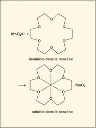 Permanganate de potassium rendu soluble dans le benzène par l'éther 18 couronne 6 - crédits : Encyclopædia Universalis France