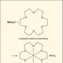 Permanganate de potassium rendu soluble dans le benzène par l'éther 18 couronne 6 - crédits : Encyclopædia Universalis France