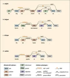 Analyse syntaxique d’une même phrase dans quatre langues différentes - crédits : Encyclopædia Universalis France