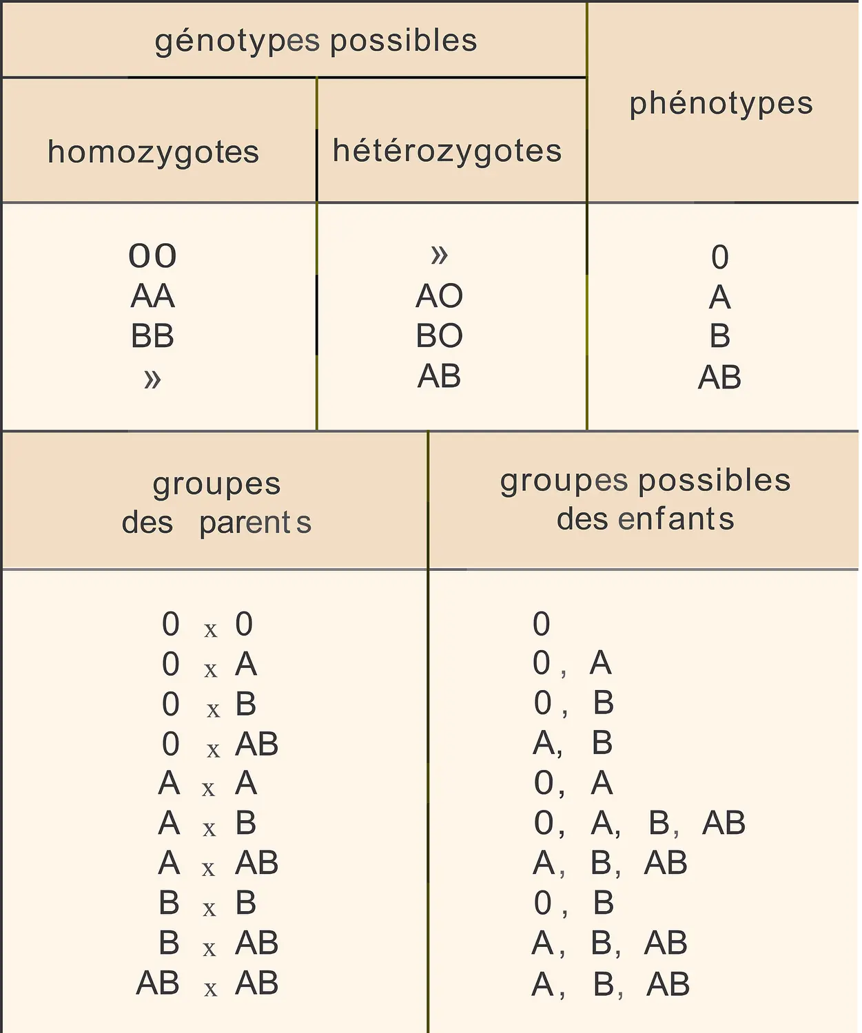 Sang : hérédité des groupes A, B, O