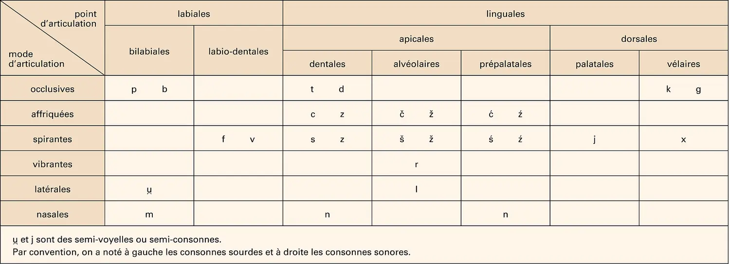 Langue polonaise : les phonèmes consonantiques