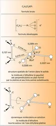 Fluctuations de structures moléculaires - crédits : Encyclopædia Universalis France