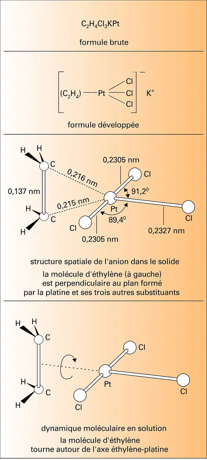 Fluctuations de structures moléculaires