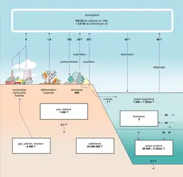 Échange de carbone entre l'atmosphère, les océans, la biosphère et la lithosphère - crédits : Encyclopædia Universalis France