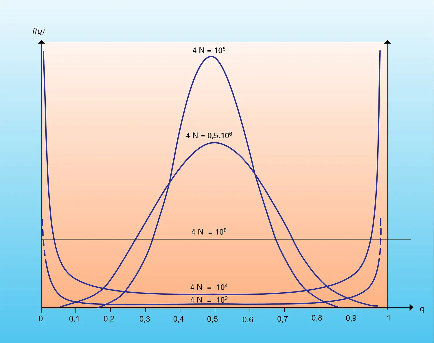 Lois de probabilités des fréquences géniques