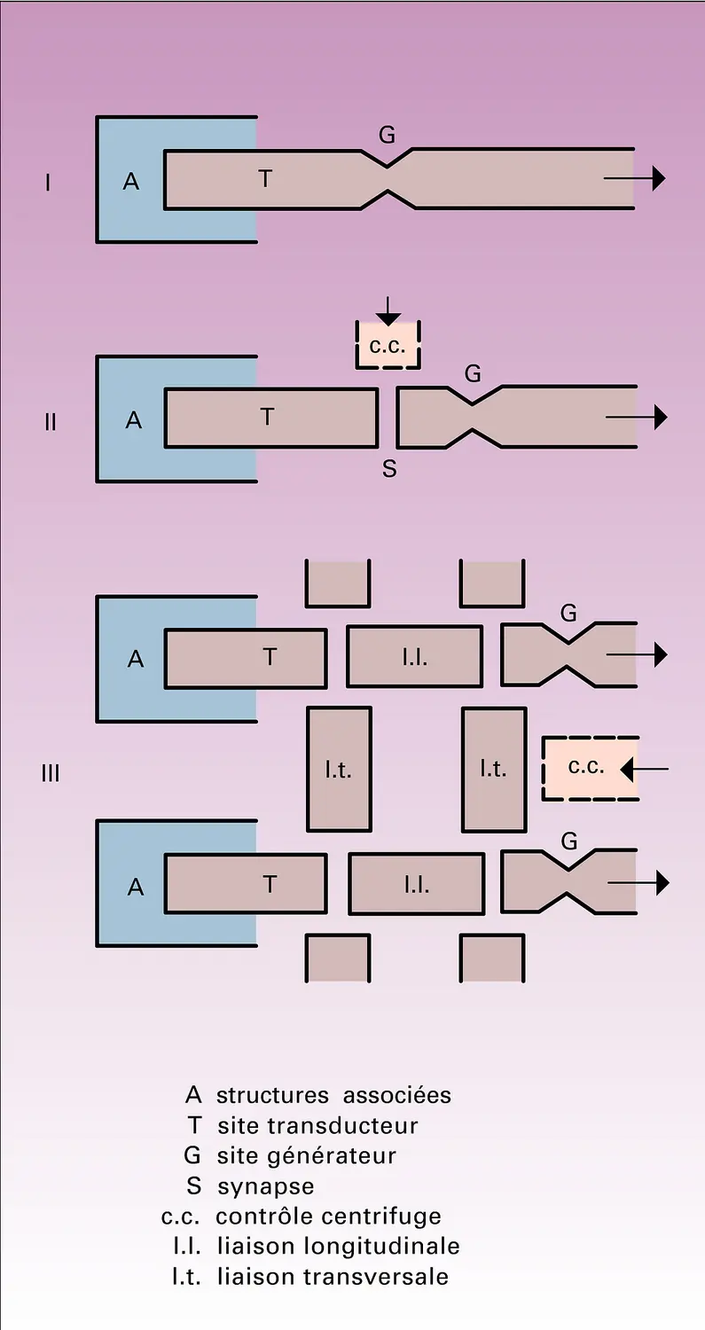 Dispositifs transducteurs-codeurs