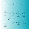Terpènes naturels : synthèse - crédits : Encyclopædia Universalis France