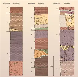 Faciès des grès d'Annot - crédits : Encyclopædia Universalis France