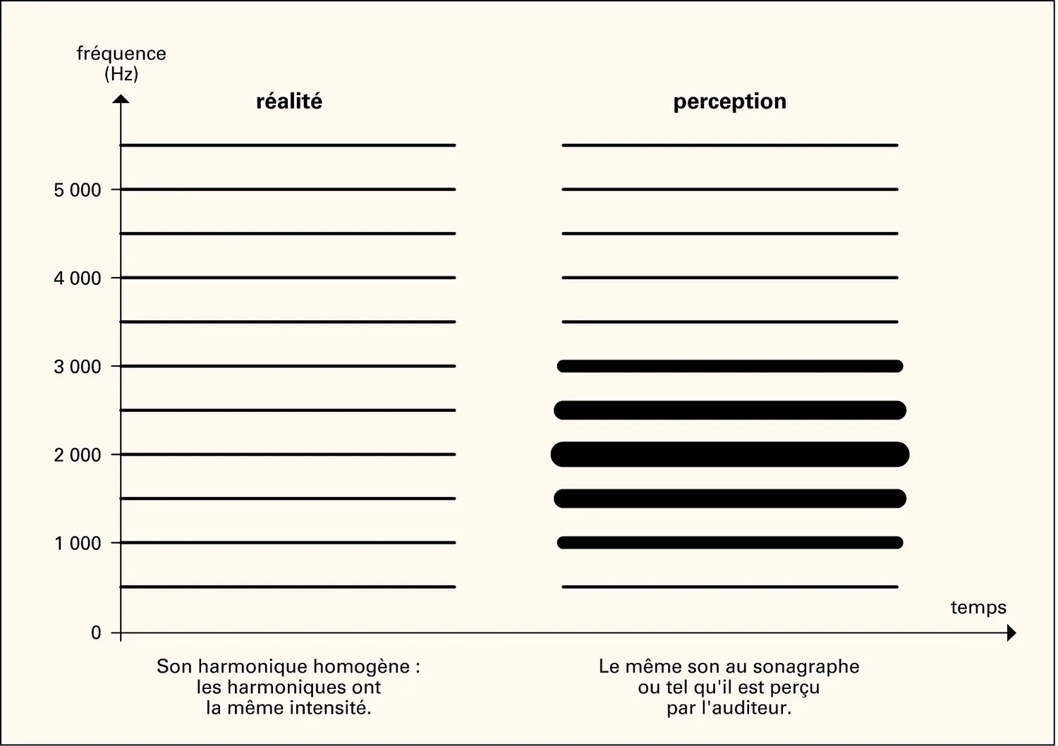 Musique : perception de la hauteur