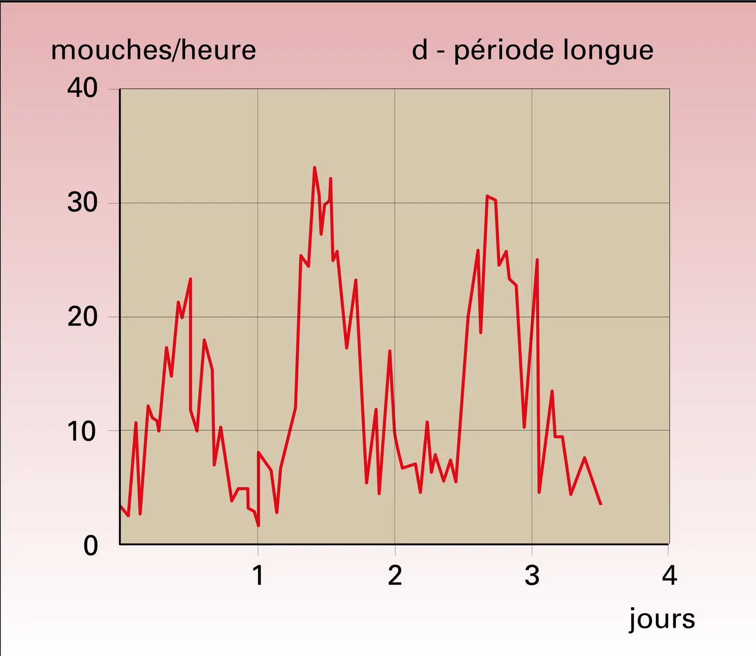 Drosophile : rythmes circadiens d'éclosion - vue 4