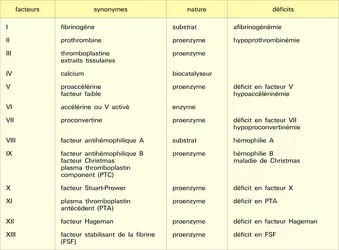 Facteurs de coagulation - crédits : Encyclopædia Universalis France