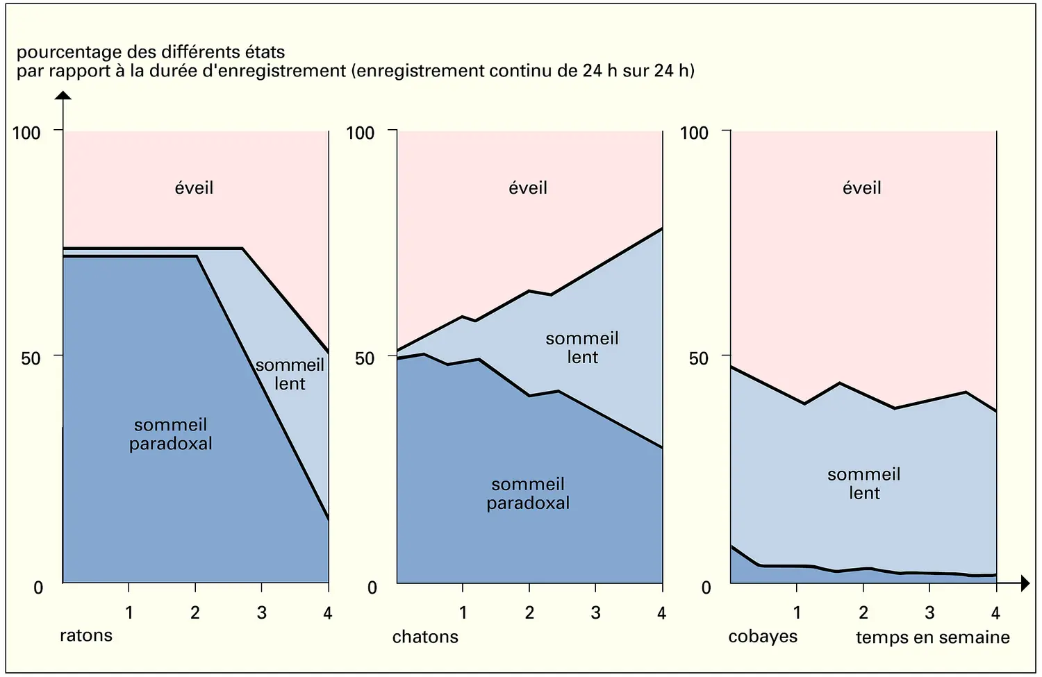 Sommeil-rêve-éveil selon le degré de maturité nerveuse