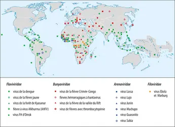 Répartition mondiale des principales fièvres hémorragiques virales - crédits : Encyclopædia Universalis France