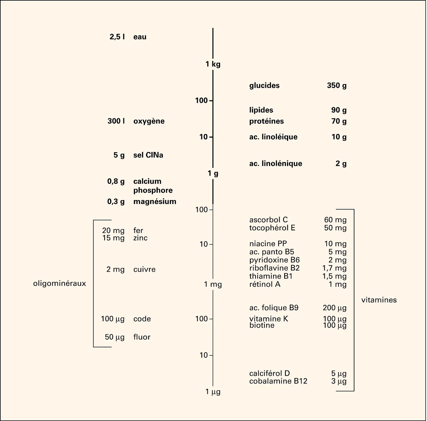 Apports nutritionnels recommandés