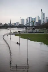 Crue de fleuve à Francfort-sur-le-Main (Allemagne) - crédits : Fabian Sommer/ picture alliance/ Getty Images