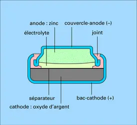 Pile bouton - crédits : Encyclopædia Universalis France