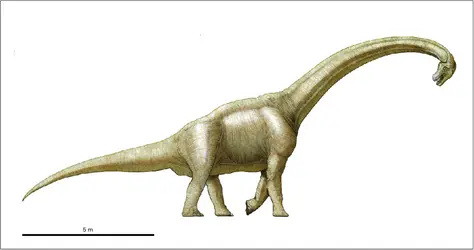 Brachiosaurus - crédits : Encyclopædia Universalis France