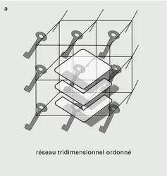 Formation par rupture d'ordre rotationnelle - crédits : Encyclopædia Universalis France