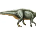 <em>Iguanodon</em> - crédits : Encyclopædia Universalis France