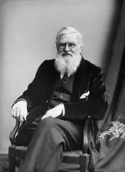 Alfred Wallace - crédits : Hulton-Deutsch Collection/ Corbis Historical/ Getty Images