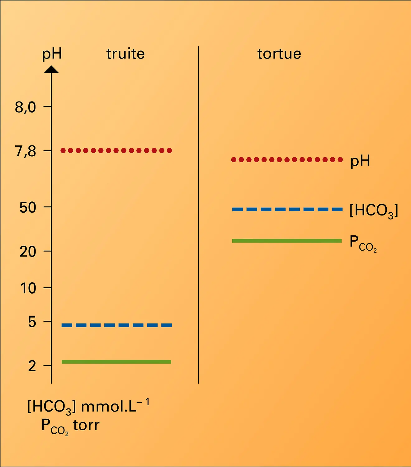 Volumes d'air respirés par la truite et par la tortue