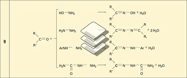 Réactions 9 à 13 - crédits : Encyclopædia Universalis France