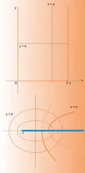 Représentation z &map; cos z - crédits : Encyclopædia Universalis France