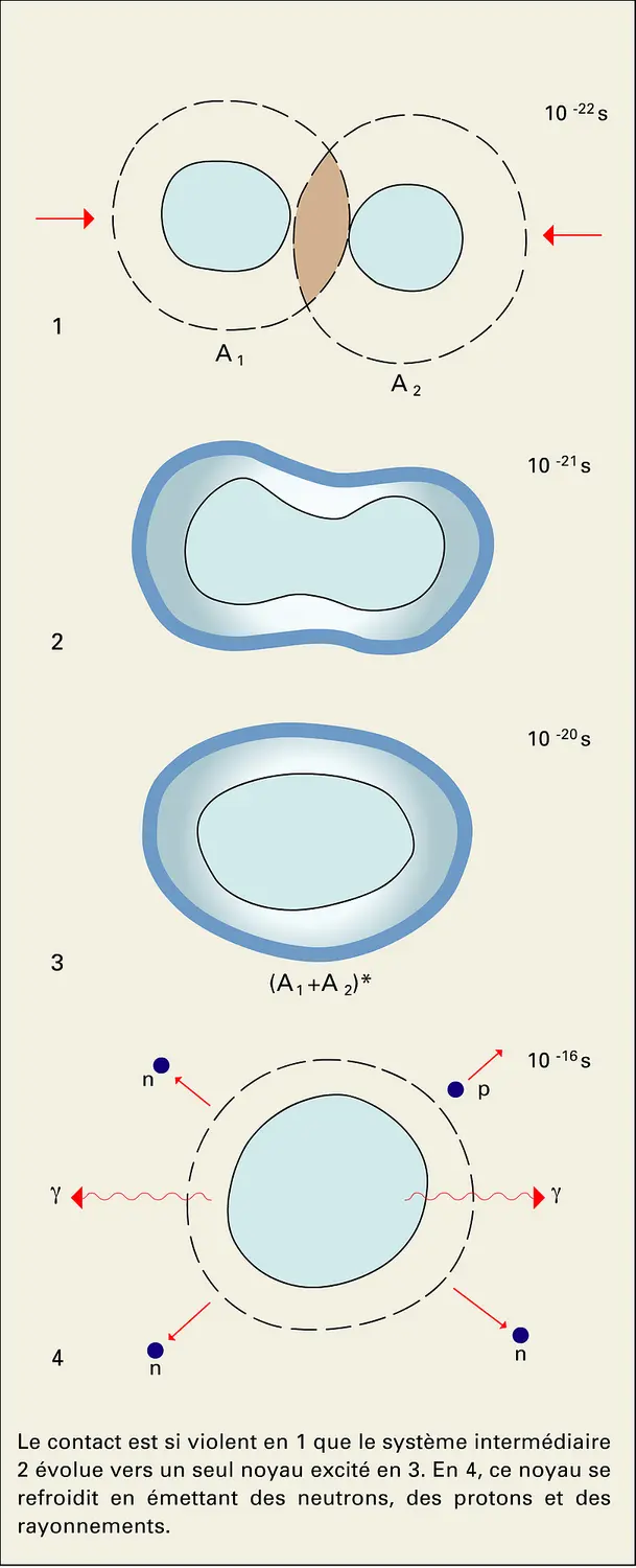 Fusion complète entre deux noyaux