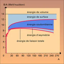 Énergie de liaison par nucléon - crédits : Encyclopædia Universalis France