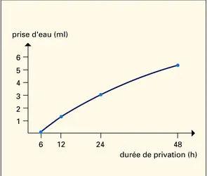 Prise d'eau après privation - crédits : Encyclopædia Universalis France