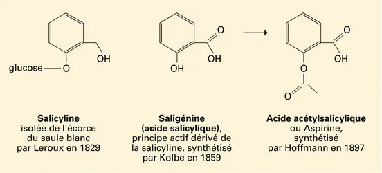 ASPIRINE ou ACIDE ACÉTYLSALICYLIQUE - Encyclopædia Universalis