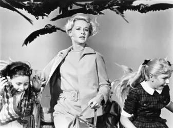 <it>Les Oiseaux</it>, d'Alfred Hitchcock - crédits : Universal Pictures Company, Inc./ Collection privée