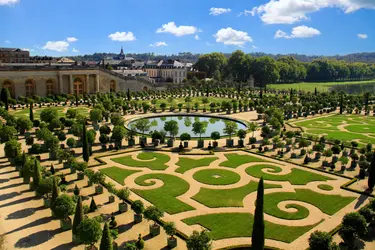 Parterres de l'Orangerie du château de Versailles - crédits : Lyubov Timofeyeva/ Shutterstock