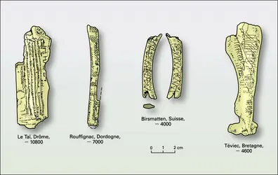 Art mésolithique (1) - crédits : Encyclopædia Universalis France