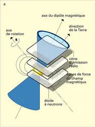 Pulsar : intensité des impulsions - crédits : Encyclopædia Universalis France