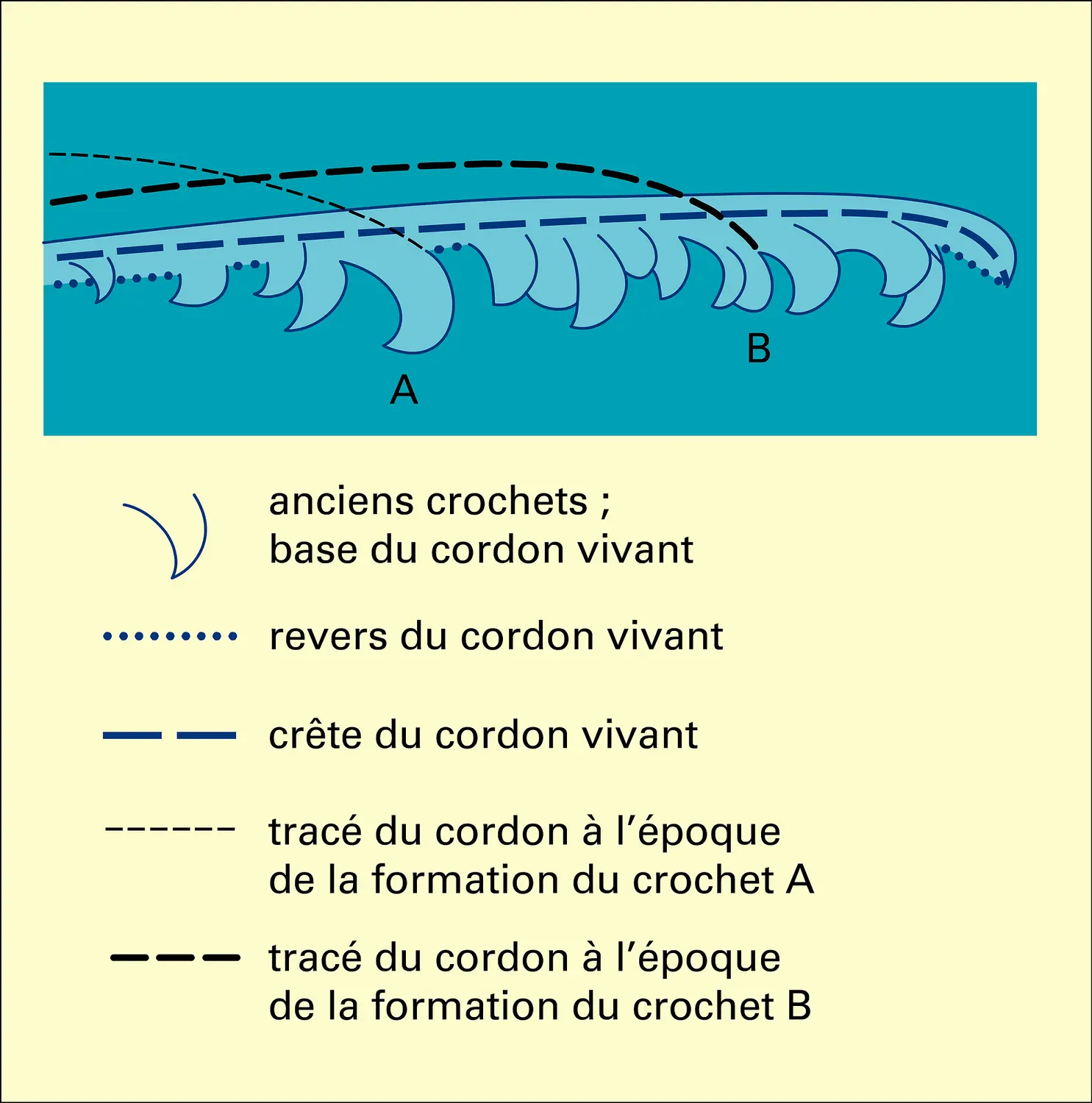 Flèche à crochets multiples avec parties érodées