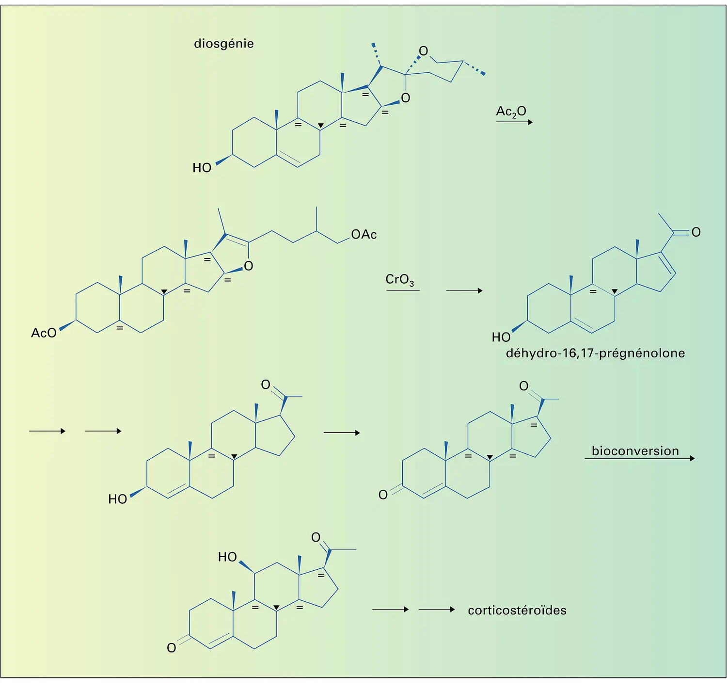 Transformation de la diosgénine