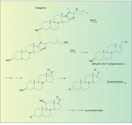 Transformation de la diosgénine - crédits : Encyclopædia Universalis France