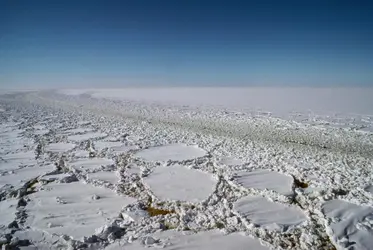 Banquise arctique - crédits : S. Vannini/ De Agostini/ Getty Images