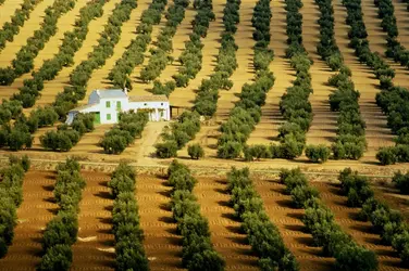 Montoro - crédits : Shaun Egan/ Getty Images