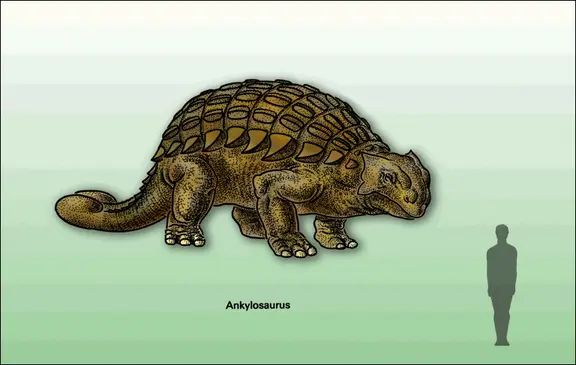 Ankylosaurus