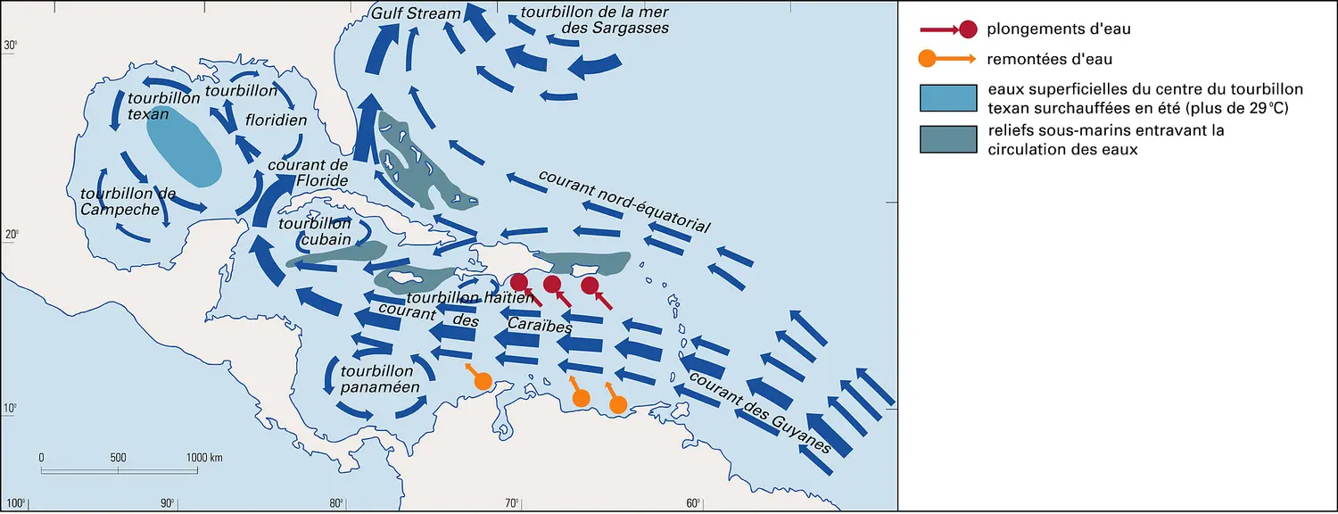 Méditerranée américaine : position moyenne des courants de surface