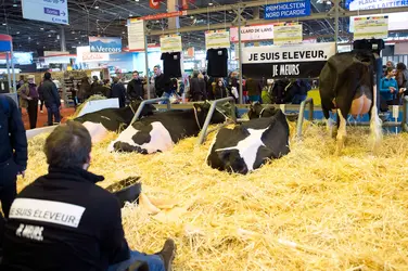 Salon de l’agriculture, Paris, 2016 - crédits : Aurelien Meunier/ Getty